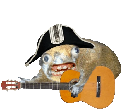 Spong Monkey playing guitar