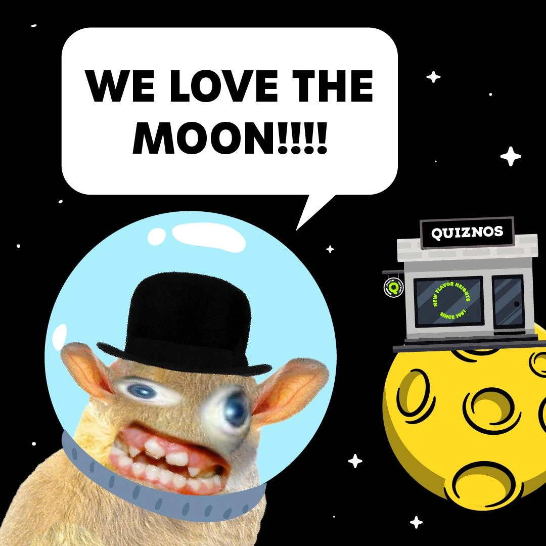 Spong Monkey loving the Moon
