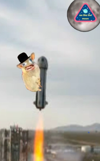 Spong Monkey riding a rocket
